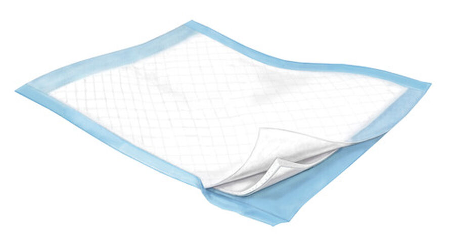 WINGS™ Plus Underpad, 23" x 36" (58.4 cm x 91.4 cm), Heavy Absorbency, 15 ct., , large image number 0