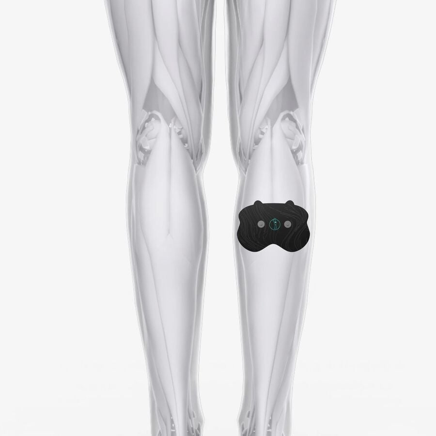 Chirp Halo Calf Pad, 2-Pack, , large image number 2